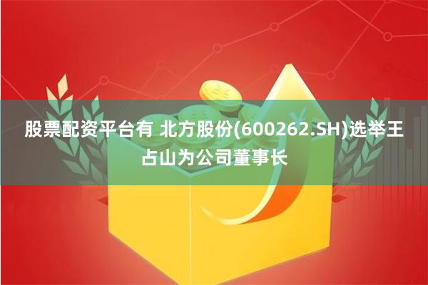 股票配资平台有 北方股份(600262.SH)选举王占山为公司董事长